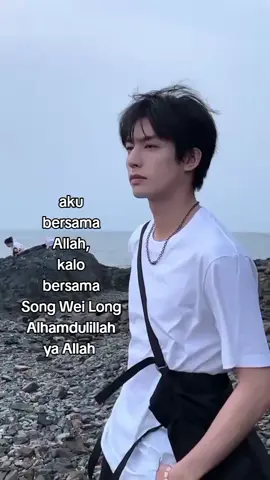 lunas ya #songweilong #actor #chinese #4u #fyp 