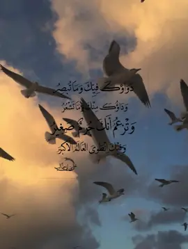 وفيك انطوى العالم الأكبر ❤️ #fyp #fypシ゚viral #foryou #saudiarabia🇸🇦 