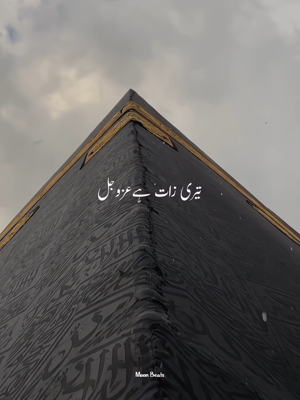 Ya Hayyu Ya Qayyum . . . #Allah #alhamdulillah #samiyusuf #viralvideos #moonbeats 