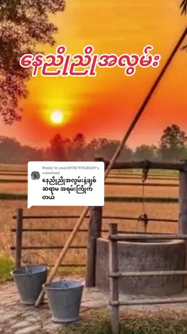 Replying to @user397879708509 #နေညိုညိုအလွမ်း #ခွန်ပေါရန်း #အားပေးသူတိုင်းကိုကျေးဇူးတင်ပါတယ်😘😘😘 #အားလုံးကိုချစ်တယ်နော်😘😘😘😘😘 #smile 