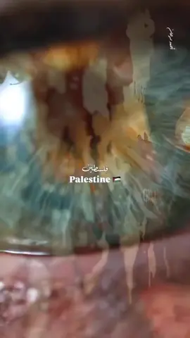 My Dream My Home ❤️🇵🇸