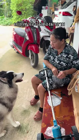 เฮ็ดเอาโลด