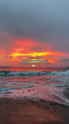 No te cuestiono Te agradezco por todo Dios, solo te pido que no me sueltes.🤍✨ #nomesueltesdelamano #Dios #amoraprimeravista #viajesbonitos #maryatardecer 