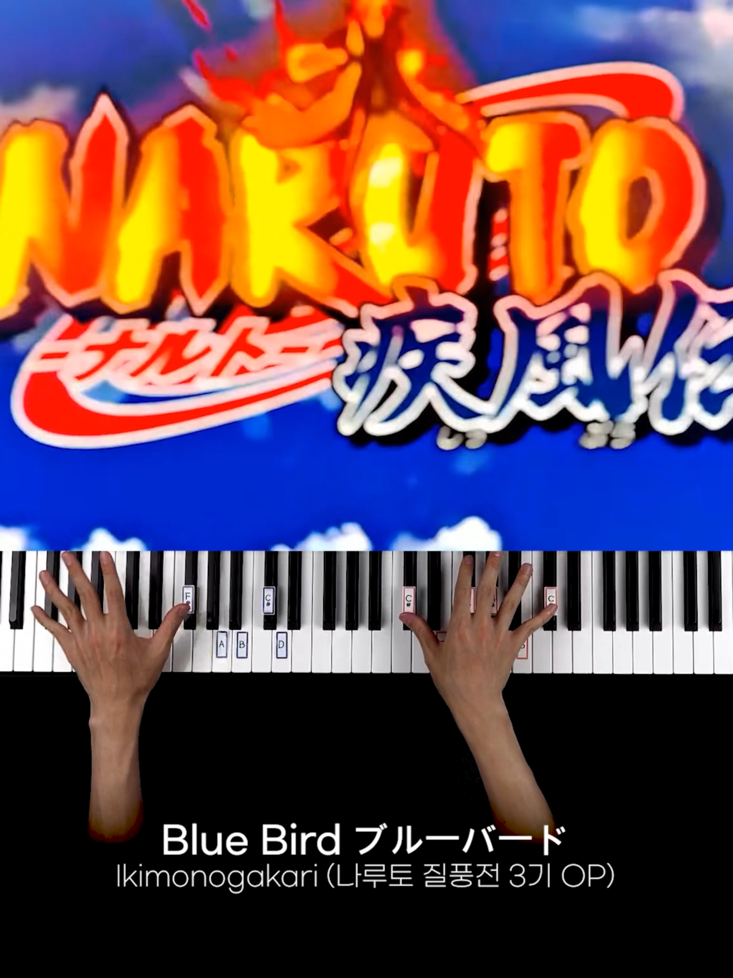 NARUTO 나루토 좋아하는 사람? 