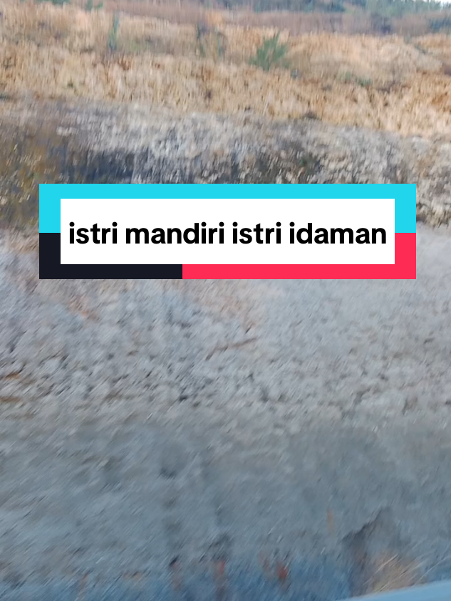 istri yg mandiri itu istri yg hebat #istri #istriidaman #istrisolehah #istrimandiri #fypシ゚ 