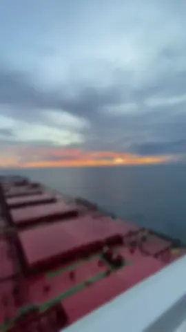 Many admire the seafarer’s life,but only a few understand the storm within🌊⚓️ #seaman #sailor #merchantnavy 