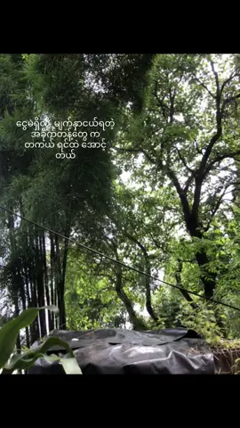 #foryou #fpyシ #feed #စာတို 