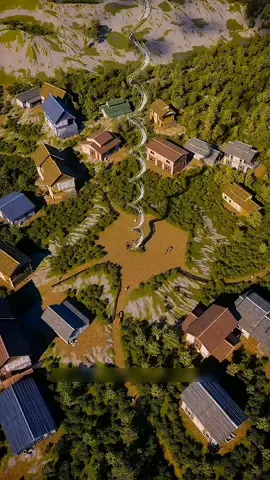 The Ascension (fiction)