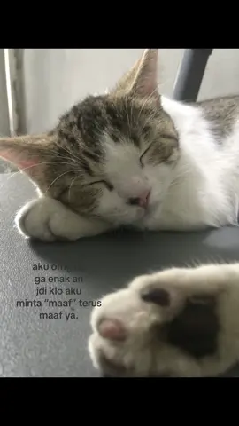 heheh maapp #maaf #fyp #4u #xybca #masukberanda 