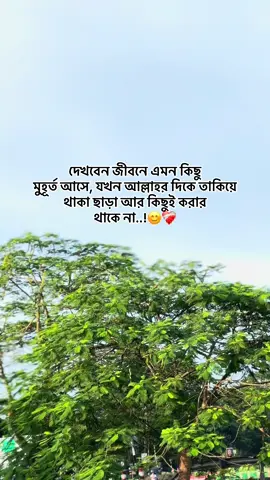দেখবেন জীবনে এমন কিছু  মুহূর্ত আসে, যখন আল্লাহর দিকে তাকিয়ে থাকা ছাড়া আর কিছুই করার  থাকে না..!😊❤️‍🩹#বাইরাল_করে_দাও #fyppppppppppppppppppppp #সবাই_একটু_সাপোর্ট_করবেন_প্লিজ #ভিডিওটা_ভাইরাল_করে_দাও_🙏🙏 #viral?videotiktok😇😇 @TikTok Bangladesh @TikTok 