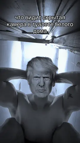#трамп #зурамп