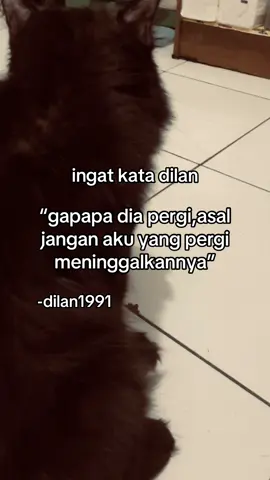 #dilan1990 #foryoupage 