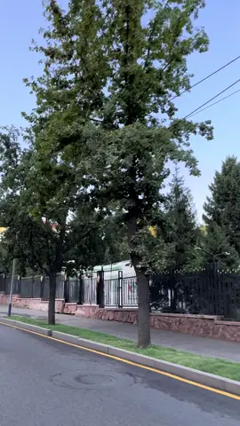 #академия #пскнбрк 