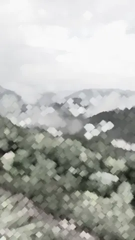 hmmmmmmmmmmmmmm kiya hasina hy ye alam ye nzara khoob hu 🫣😉☺️🎀🎗️🥀🔥📸#foryou #fyp #trendingvideo #viraltiktok #standwithkashmir 
