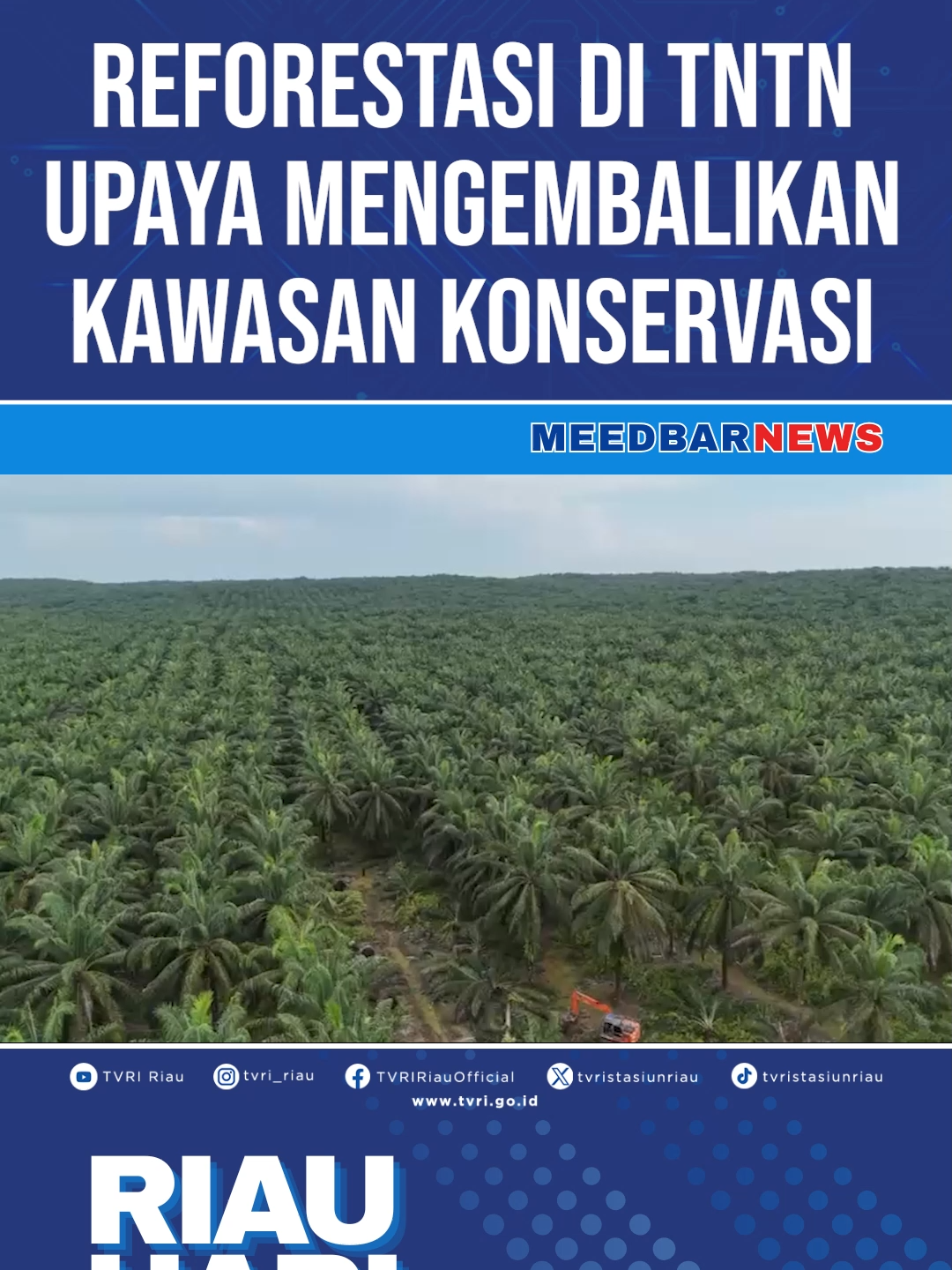 REFORESTASI DI TNTN UPAYA MENGEMBALIKAN KAWASAN KONSERVASI Saksikan Riau Hari Ini, program berita terpercaya yang menyajikan informasi akurat dan aktual seputar Riau. Tayang setiap hari pukul 15.00, hanya di TVRI Riau #tvririau #meedbarnews #riauhariini #fyp #foryourpage #kembaliketvri #rumahbulutangkis