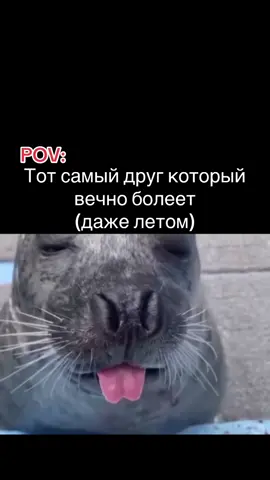 есть такой? 