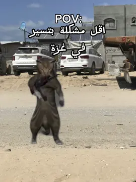 ارحموانا 😂😂❤️#CapCut #غزة_العزة🇵🇸_فلسطين_القدس_الأقصى #100k #الشعب_الصيني_ماله_حل😂😂 #سكسونيا