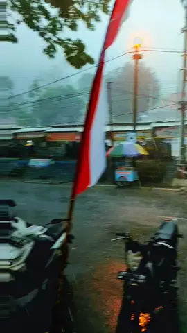𝘕𝘨𝘦𝘣𝘦𝘭 𝘱𝘢𝘯𝘨𝘨𝘢𝘩 𝘴𝘺𝘢𝘩𝘥𝘶  #telagangebelponorogo #ngebelspeedboat #ponorogo24jam #fypシ゚viral🖤tiktok 