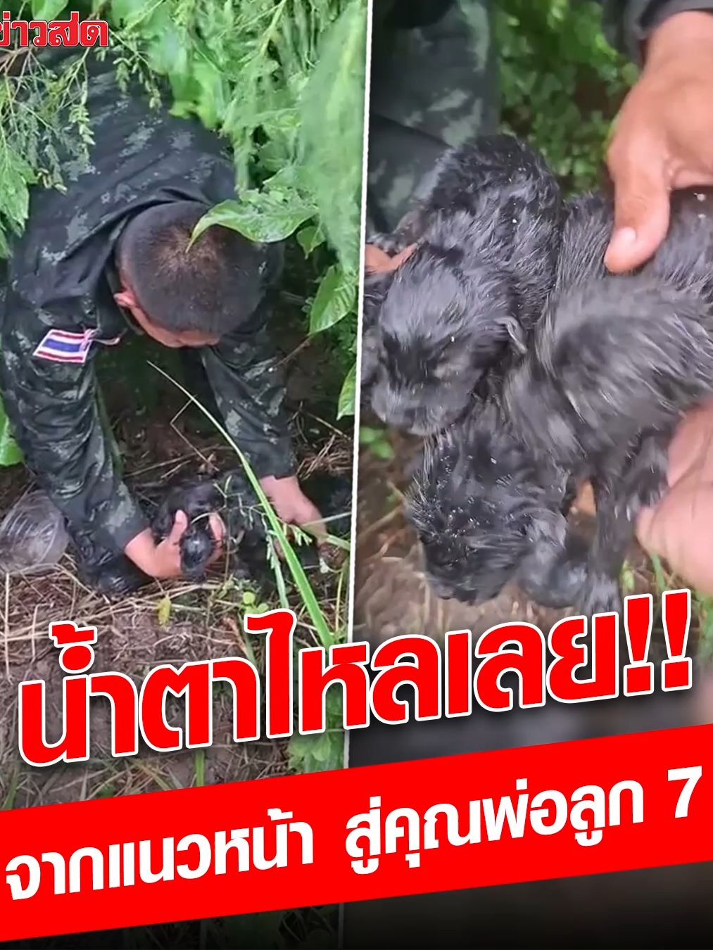 โมเมนต์นี้ร้องไห้เลย! อธิปไตยก็ต้องปกป้อง แนวหลังก็ต้องดูแล จาก 'ทหารแนวหน้า' สู่คุณพ่อลูก 7 ผู้อบอุ่น