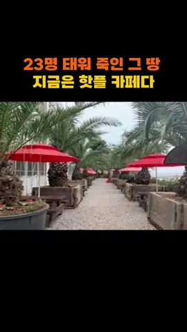 23명 태워 죽인 그 땅 지금은 핫플 카페다 #참사이야기 #사회고발 #한국현실 #잊지말자 #슬픈역사