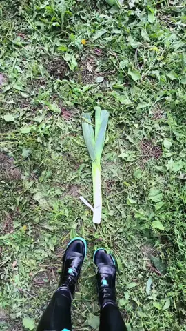 i dropped my wallet 🥺 #初音ミク #コスプレ #hatsunemiku #cosplay #vocaloid 