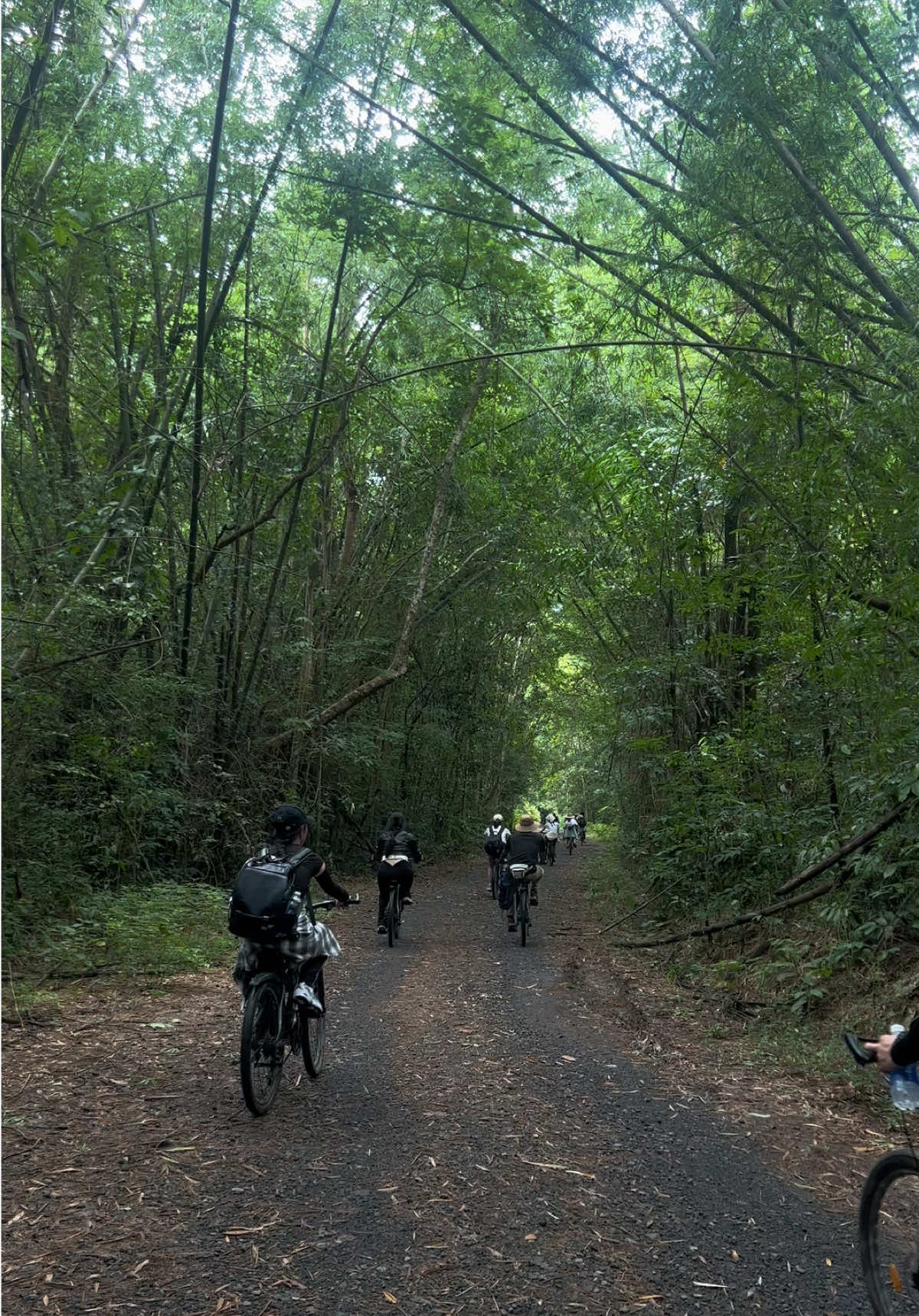 Vị rừng 🍃 #namcattien #photography #travel #fyp #life