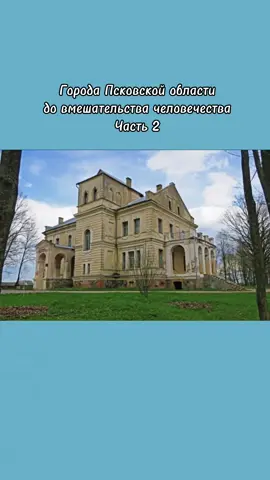 Чем я занимаюсь часть 2 #дикийогурец #рек #мем 