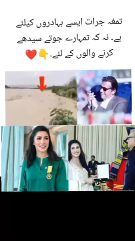 پاکستان میں نا ہی عوام کی بہادری نظر آتی ہے نا کہ کوئی ٹیلنٹ 