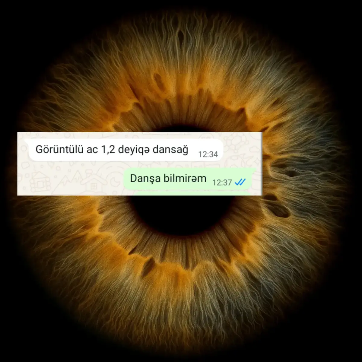 #sarafan #meme #whatsapp #zəng #aztiktok 