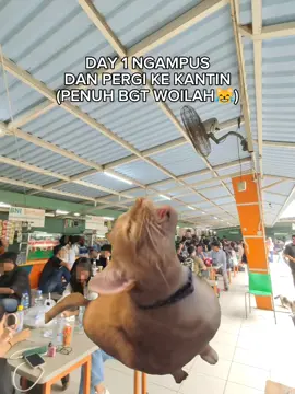 ponlab lagi mode lautan manusia😭 #meme #kampus #upn #mahasiswa #fyp 