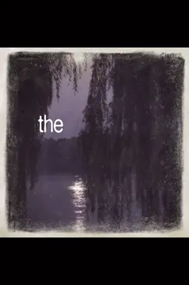 The Night We Met - Lord Huron #thenightwemet #viral #song #fyp #edit 