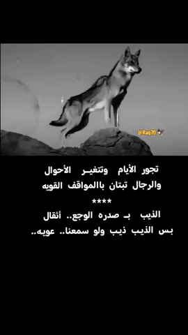 #بوح_شعر_قصيد #ذكريات #InspirationByWords #مواساة #بوح_المشاعر 