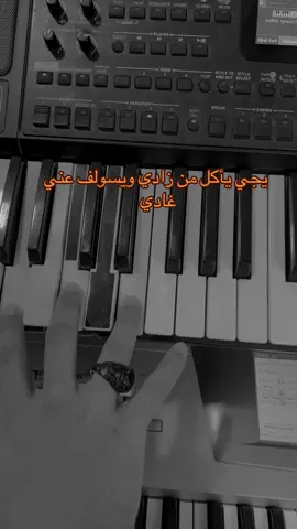 عزف دبكات #عزف #دبكات #العازف_ليث_الاصيل 