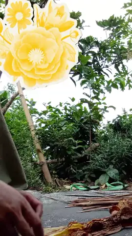 #fypage 