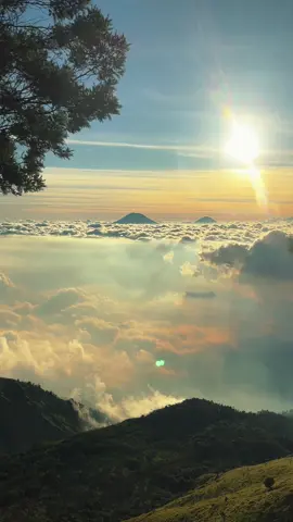 #merbabu #fy #merbabuviathekelan 
