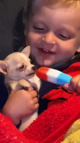 The dog snatched the child’s snack #dog #funny #fpy #usa🇺🇸 