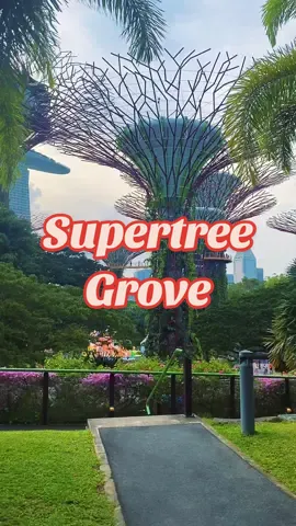 #SupertreeGrove #GardenByTheBay #Singapore 