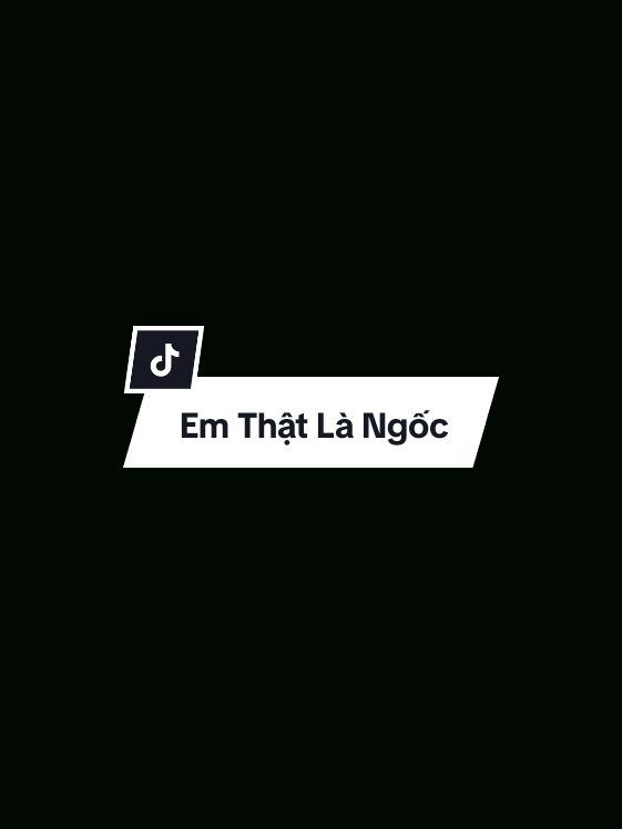 P12 | Đừng khóc nữa hãy nín đi em ơi... | EM THẬT LÀ NGỐC REMIX #viral #xh #lyrics #viralvideo #music 