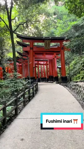 Fushimi inari Kyoto ⛩️  #japan #kyoto #travel 
