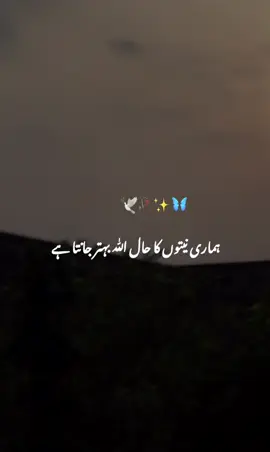 ALLAH behtar janta hai #motivationalquotes #foryoupage❤️❤️ 