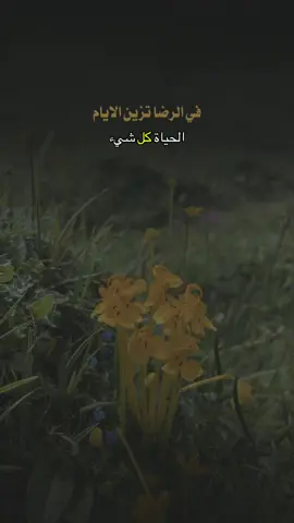 في الرضا والقناعة تزين الأيام 👌🏼✔️