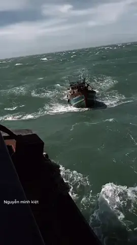 Video đầy kỷ niệm#xuhuongtiktok #phuocmai 