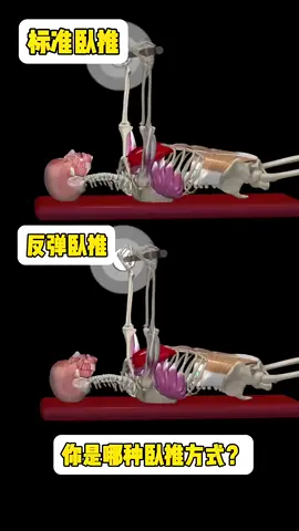 #運動按摩 #健身 #筋膜刀 #按摩 #整復 
