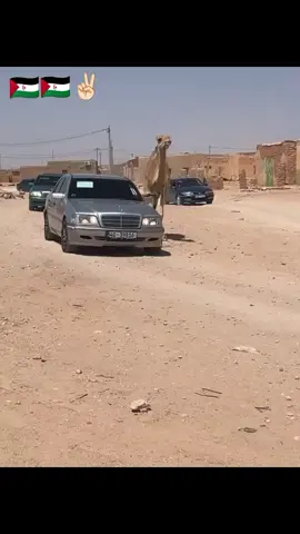 #الصحراء_الغربية🇪🇭 #الصحراء_الغربية🇪🇭حرة #الشعب_الصيني_ماله_حل😂😂 