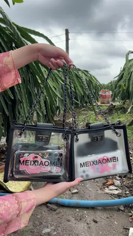 Túi trong suốt và đen mờ mẫu nào cũng xinh cũng hot #xuhuong 