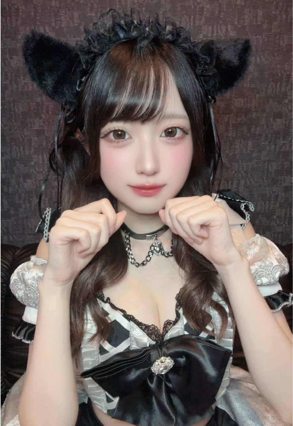 ねこぱんち🐈‍⬛👊🏻 @らいか  #秋葉原 #コンカフェ #秋葉原コンカフェ #リリペット #LiLipet 
