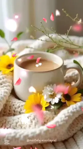 #capcut #gratitud #Dios #buenosdias #felizdia 