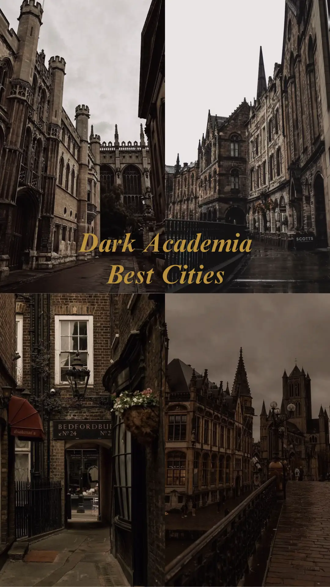 The last one is something else 😍 #darkacademia #oldsoul #nostalgiacore #darkacademiaaesthetic #vintagevibes 