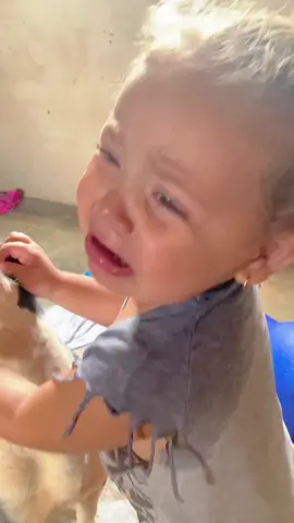 The dog stole the baby’s food #dog #pet #animals #dogsoftiktok #funnydog #doglife #haha #funnymoments #doglife 