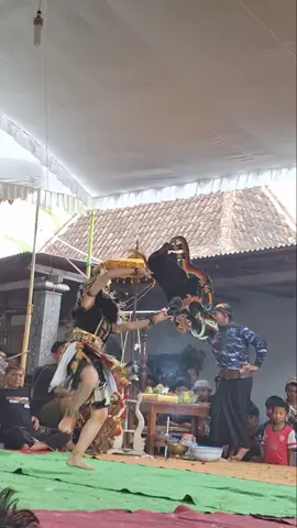 @_dchaaaa  live Sekandang Pulung #fypシ゚ #satriopandubudoyo #jaranantiktok #jarananlovers💓👹 #ponorogo24jam🔥 